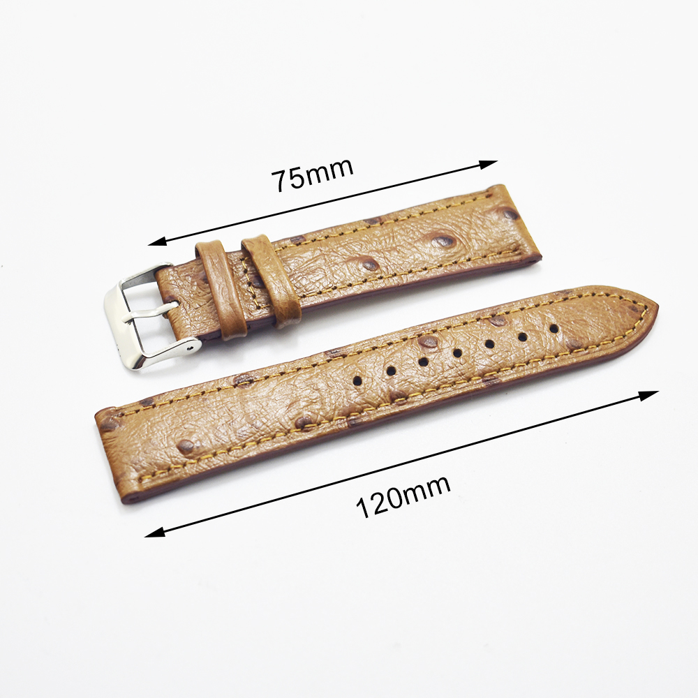 Handmade Ostrich Pattern Leath - Curved Spring Bar recension och pris
